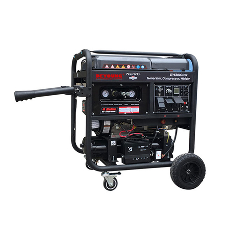 DY6500GEW (GASOLINE)